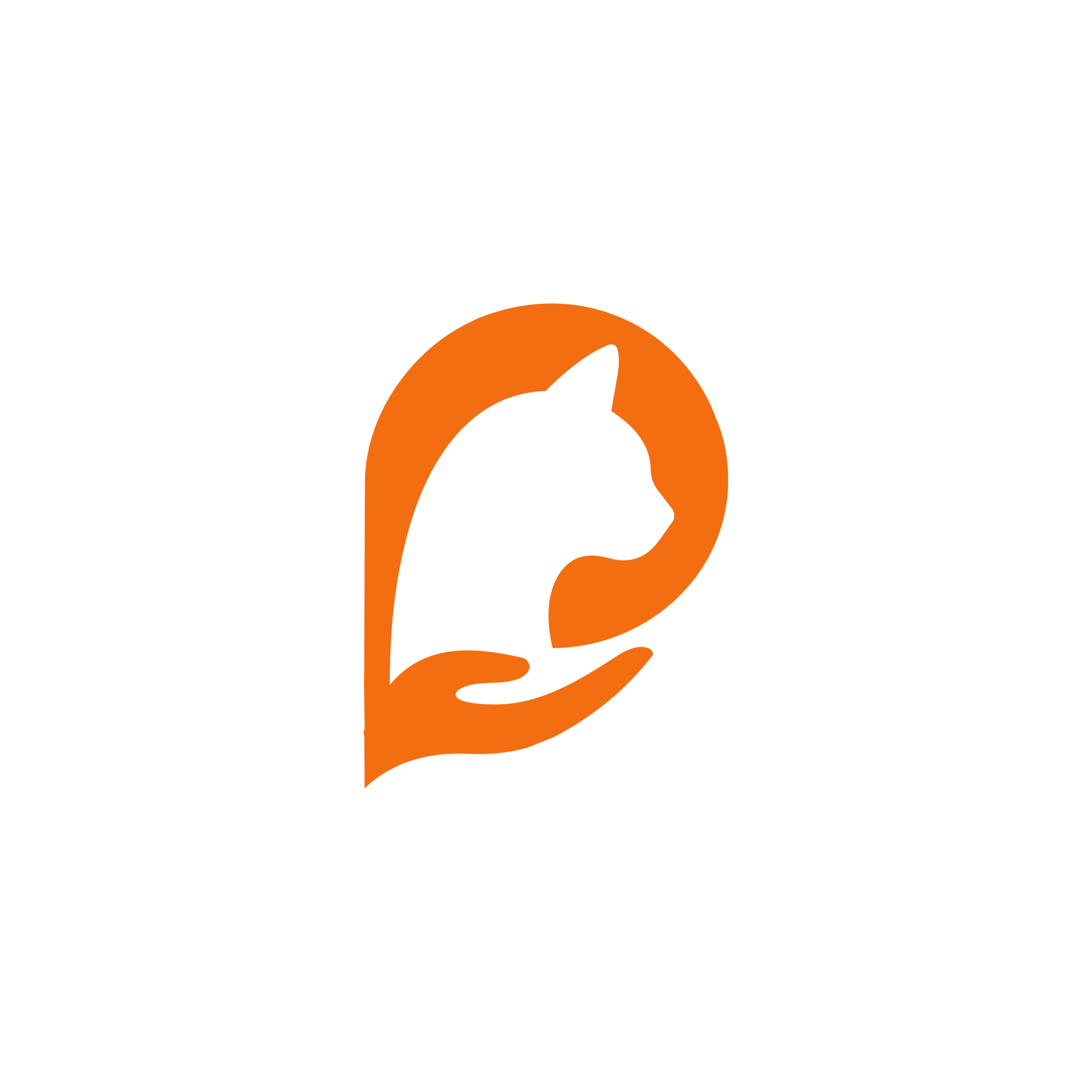 Pure Cat Care